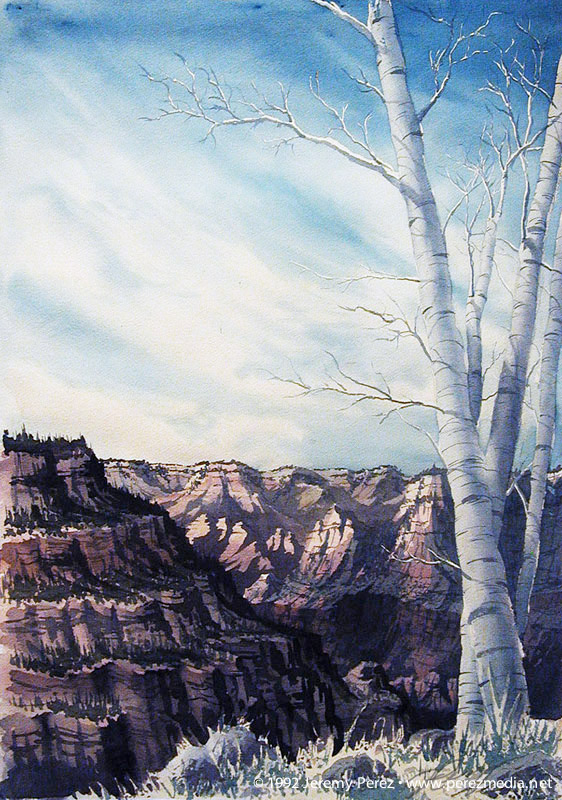 http://perezmedia.net/compositions/assets/img20030425_GrandCanyonNorthRim2_lg.jpg