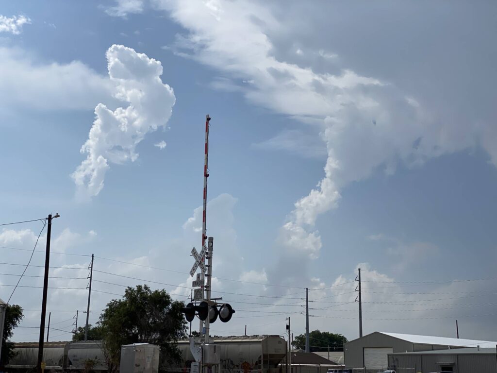 lol @ the poor withered entrail on its first attempt.